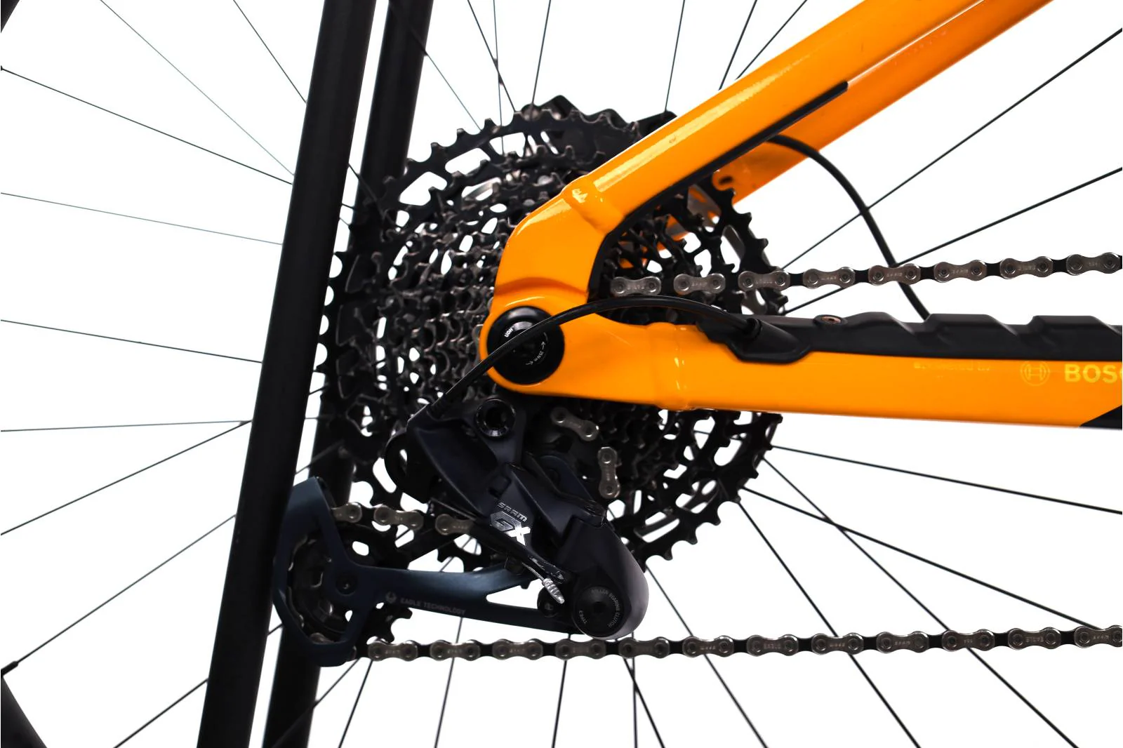Orbea Wild H20 - Image 5